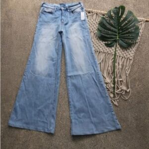 New Anthropologie Wide Leg Jeans - Pilcro and the Letterpress Size 25